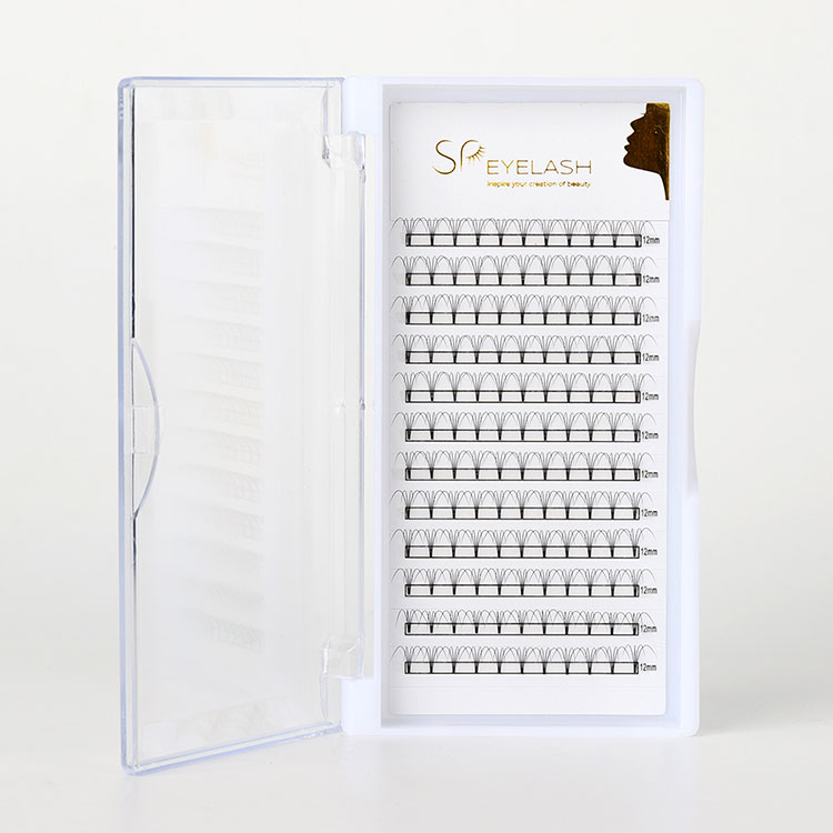 प्रीमेड फैन लैशेज पेशेवर लैश एक्सटेंशन के भविष्य को आकार क्यों दे रहे हैं?